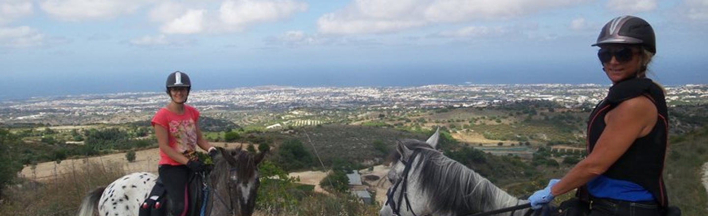 Horse Riding Paphos, верховая езда в Пафосе
