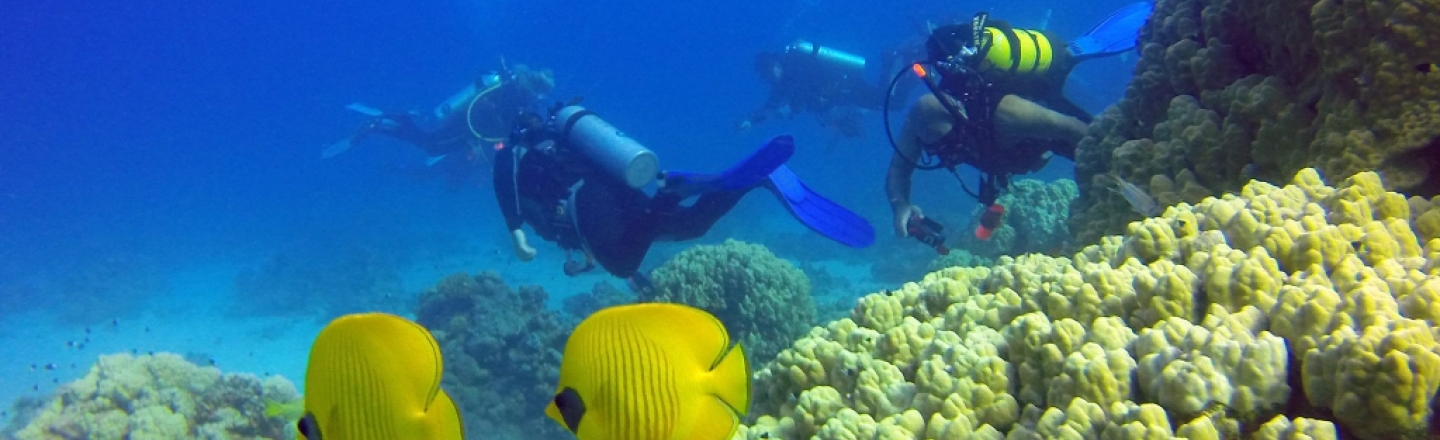 Nemo Dive Center in Larnaca