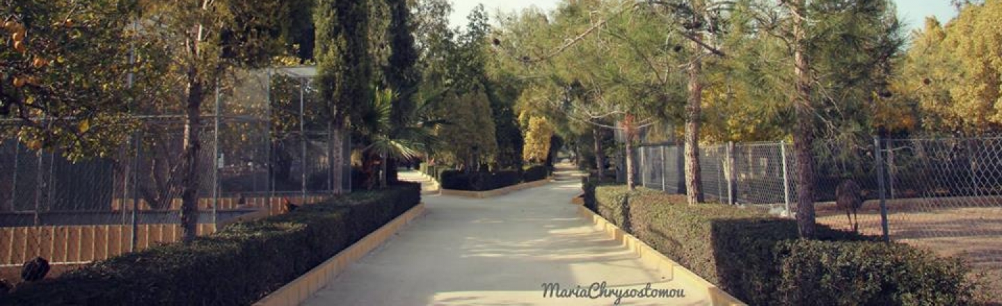 Melios Pet Park, Nicosia 