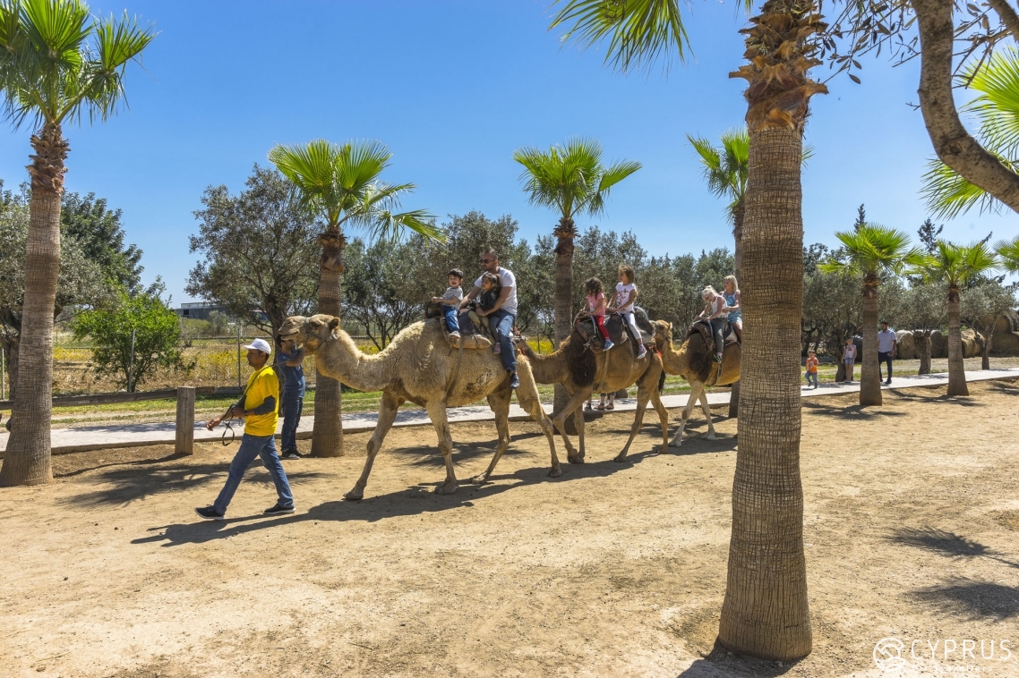 The Guide to the Most Remarkable Zoo Parks in Cyprus